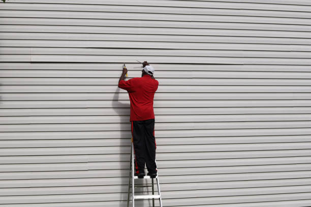 Best Custom Trim and Detailing for Siding  in Coronita, CA